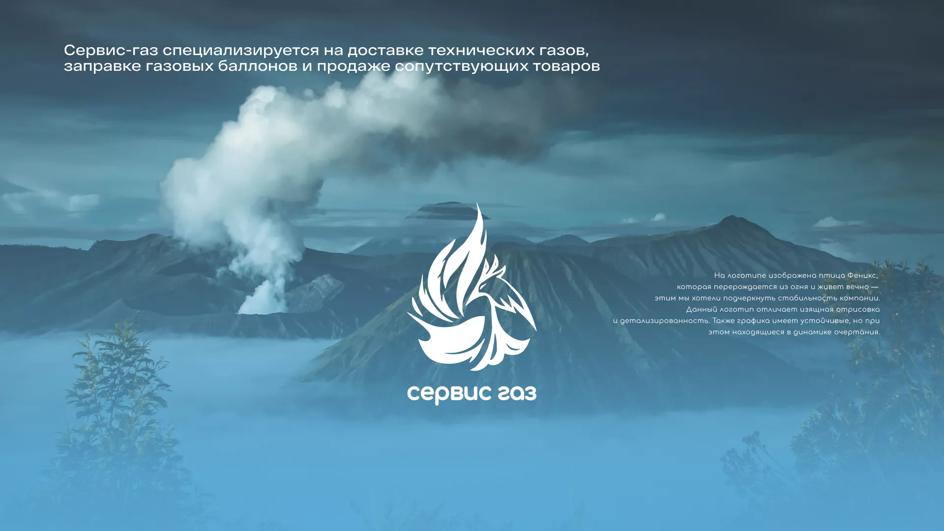 Создание сайта компании «Сервис газ» в Топках