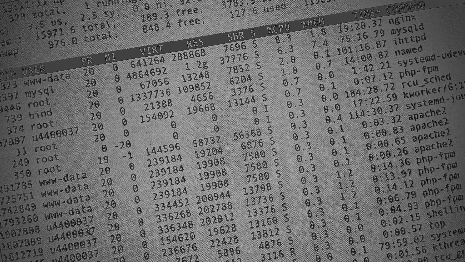 Настройка сервера в Топках